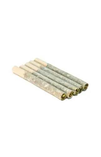 DAY TRIPPER PRE-ROLLS - 2.5