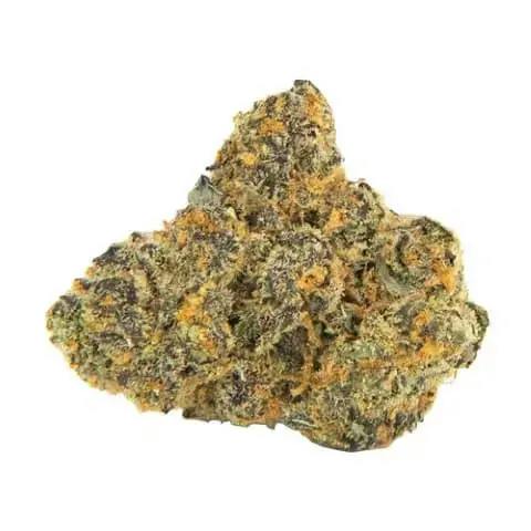 4 CULTIVAR FLOWER PACK - 28