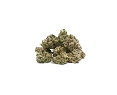 GRAVITY COOKIES - 28