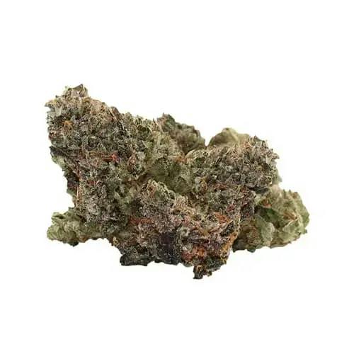 PINK GOO SMALLS - 3.5