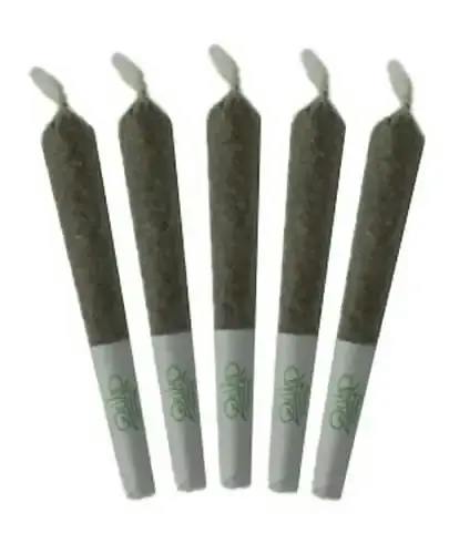 RS11 PRE-ROLLS - 2.5