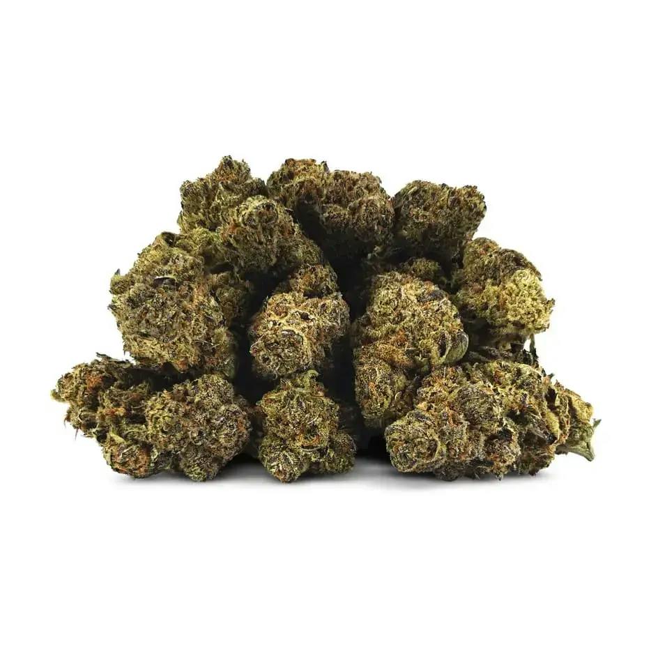 PINA COLADA - 28