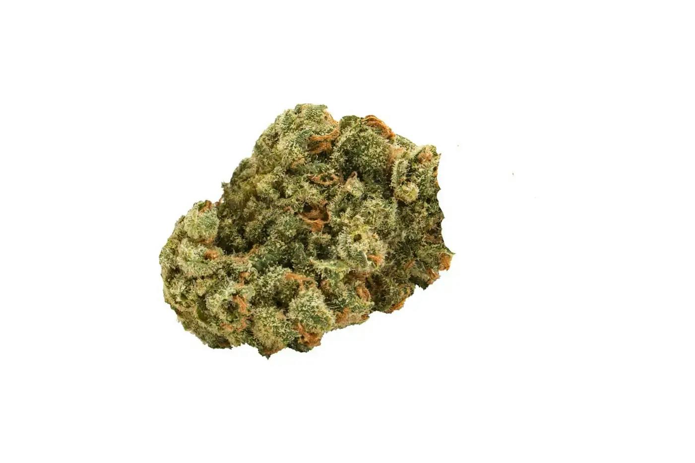 WATERMELON OREOZ MEDTAINER LTO - 7