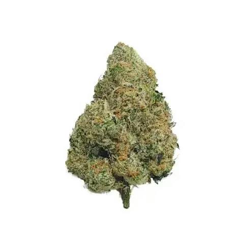 AFTER EIGHTH - 7G