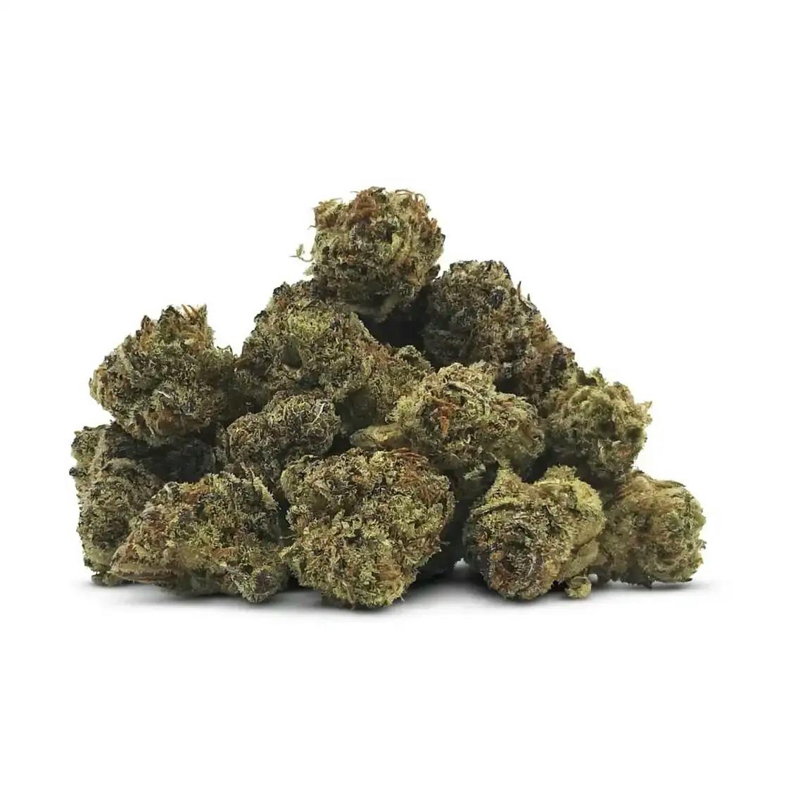 PURPLE OASIS SMALLS - 3.5