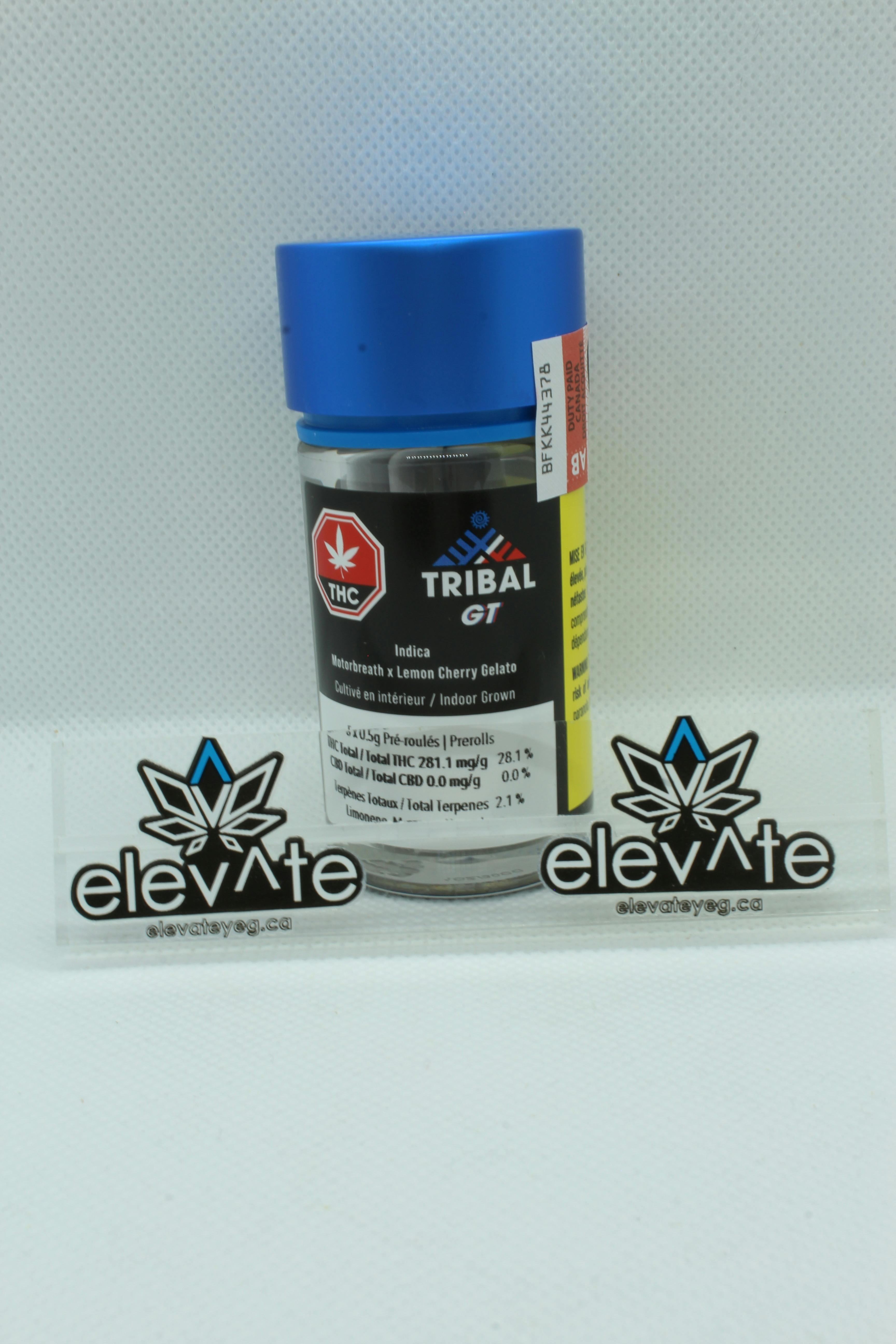 Tribal GT Pre Rolls 5 x 0.5g