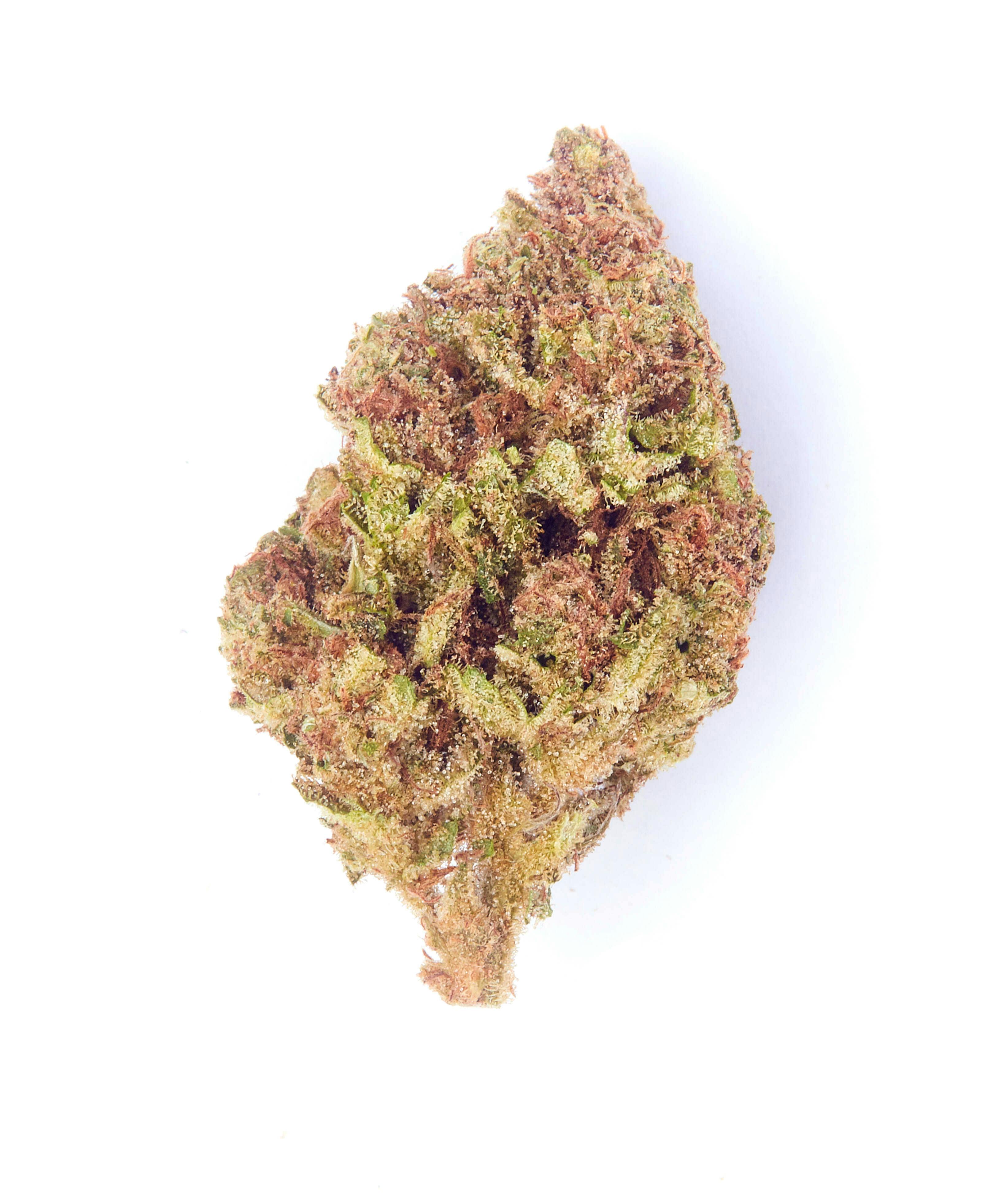 Sonoma Hills Farm - Root Beer Freeze Hybrid 3.5G - 3.5 grams