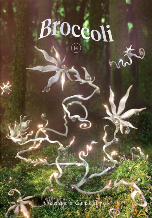Broccoli Magazine Issue 14