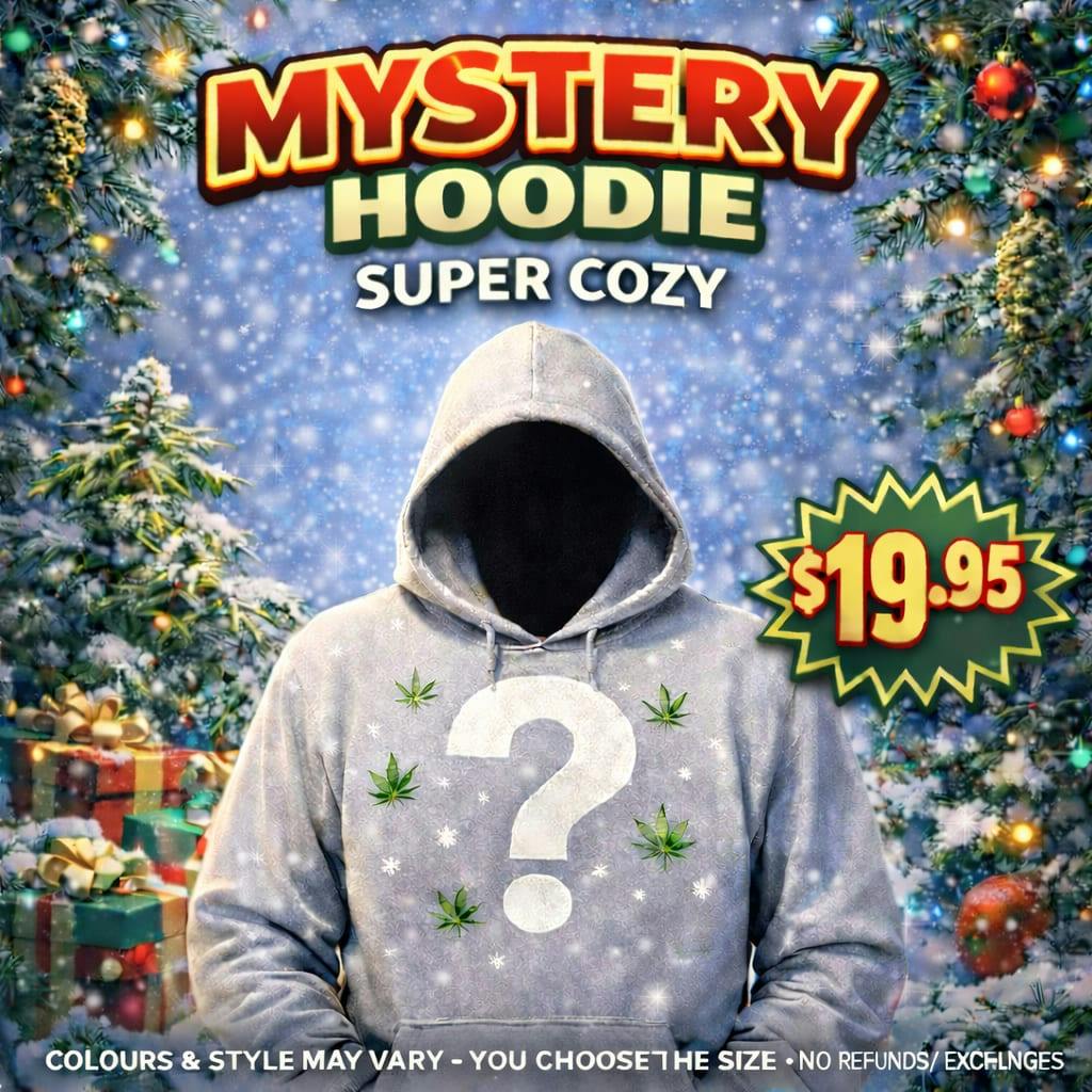 Mystery Hoodie