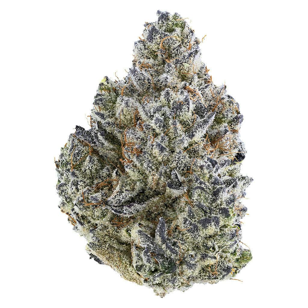 Bubble Up 14g Dried Flower