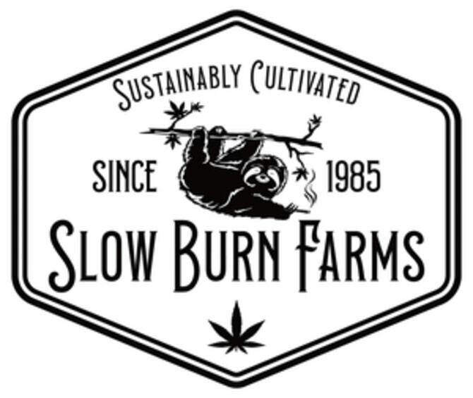 Slow Burn