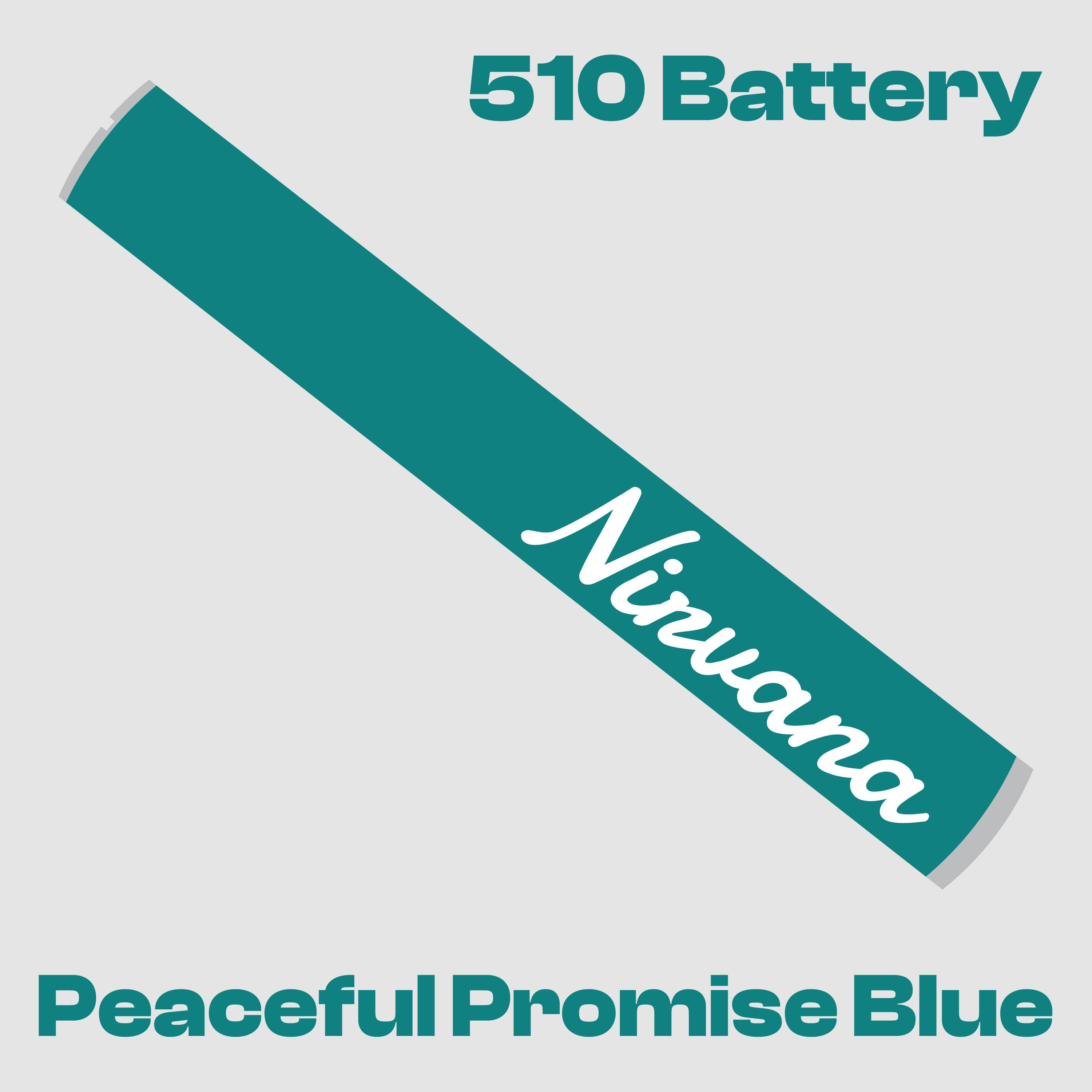 Nirvana - 510 Thread Battery - Black & Orange at Nirvana Cannabis - Menominee