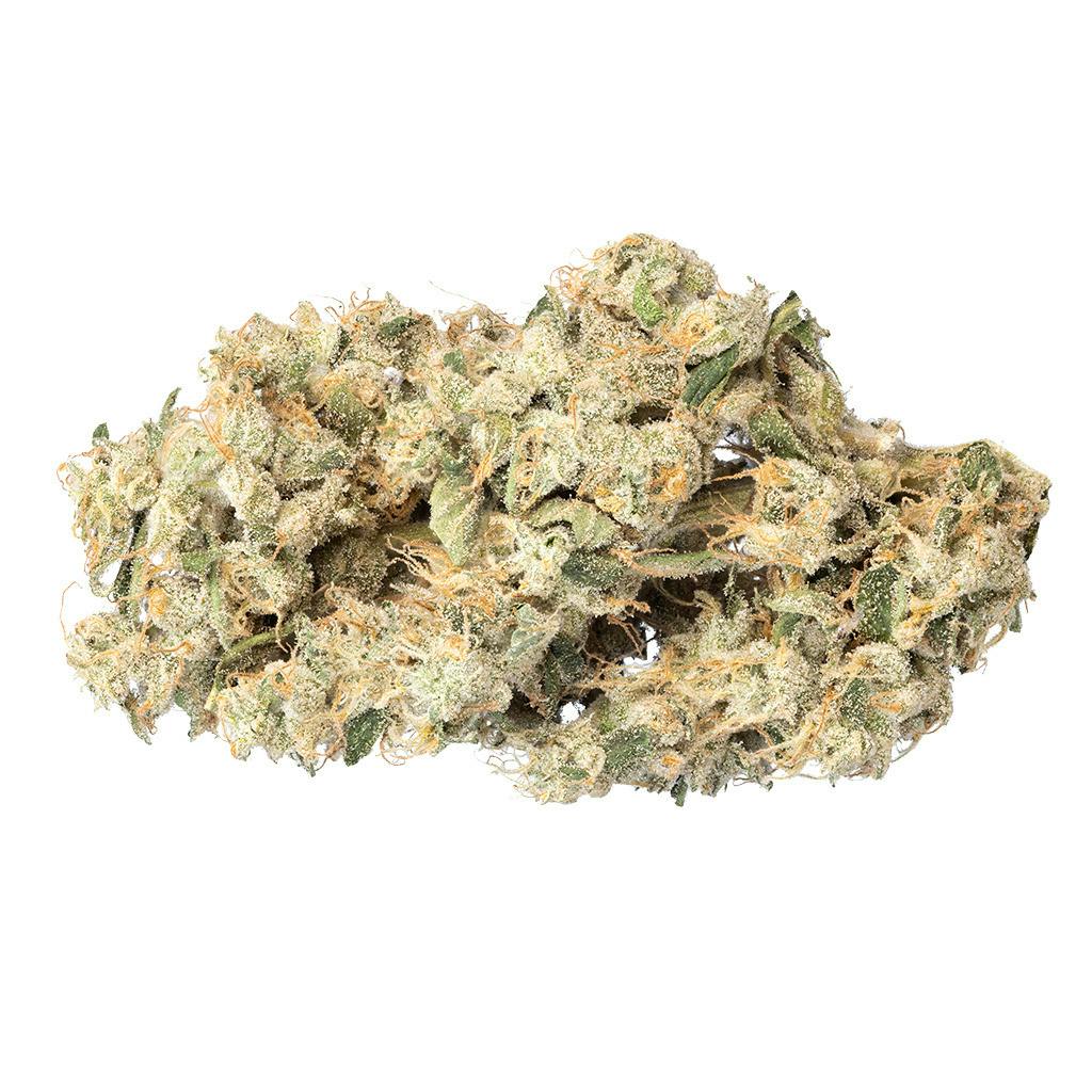Qwest - Papaya Cake Hybrid - 3.5g