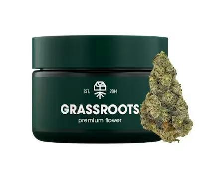 Grassroots | Orange Z | Sativa | 3.5G | Flower | 28.86% THC