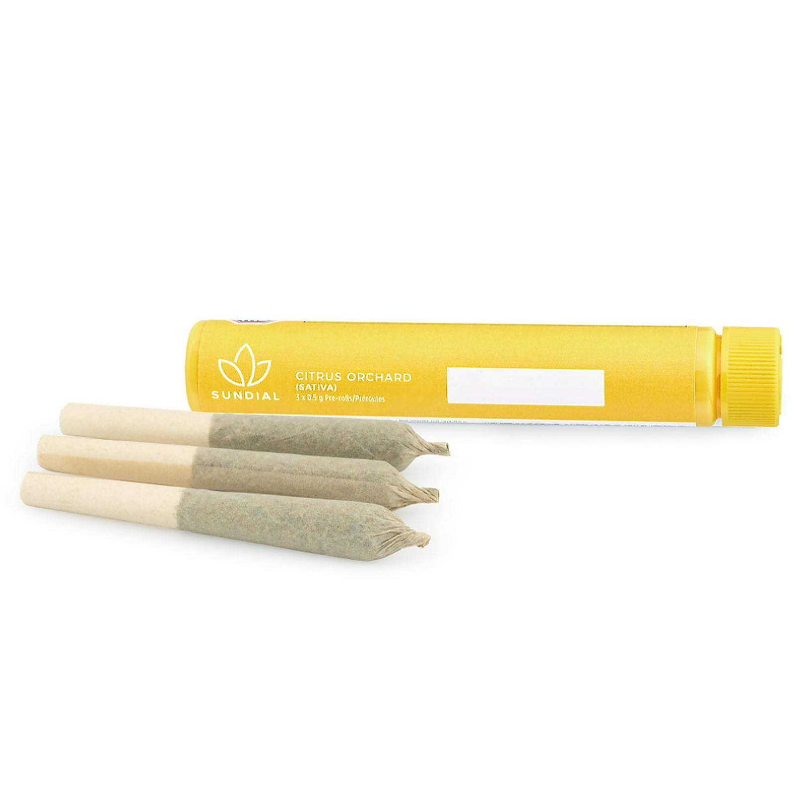 Citrus Orchard 3 Pack