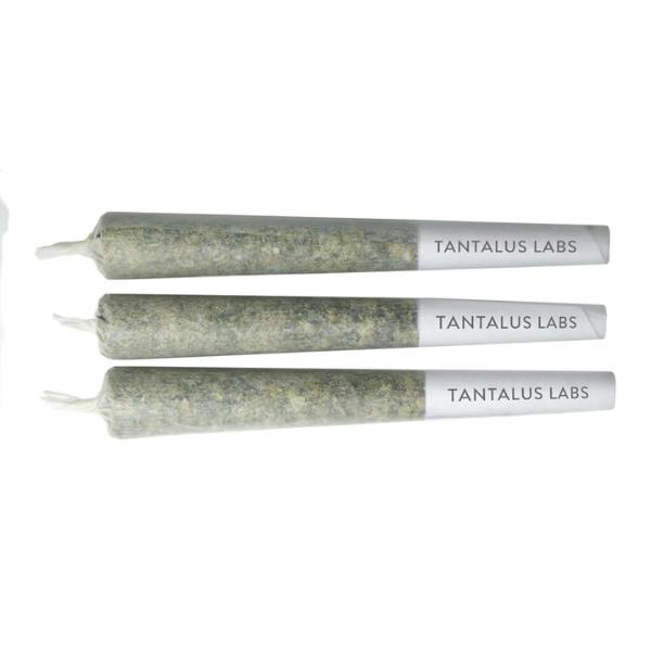 Coastal Sage 3 Pack