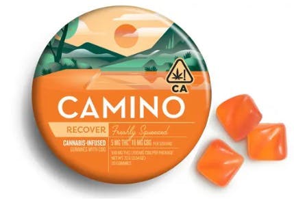 CAMINO — Freshly Squeezed :2