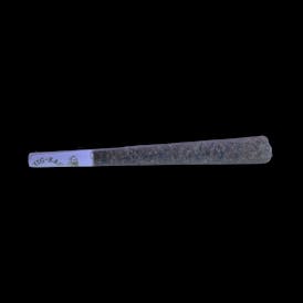 Sun Burn | Preroll 1.25g - King Cone