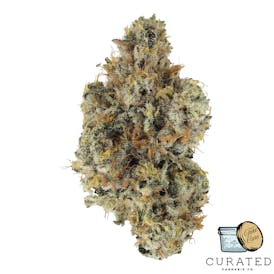 Zoap | Silver Tier Flower | Curated Cannabis