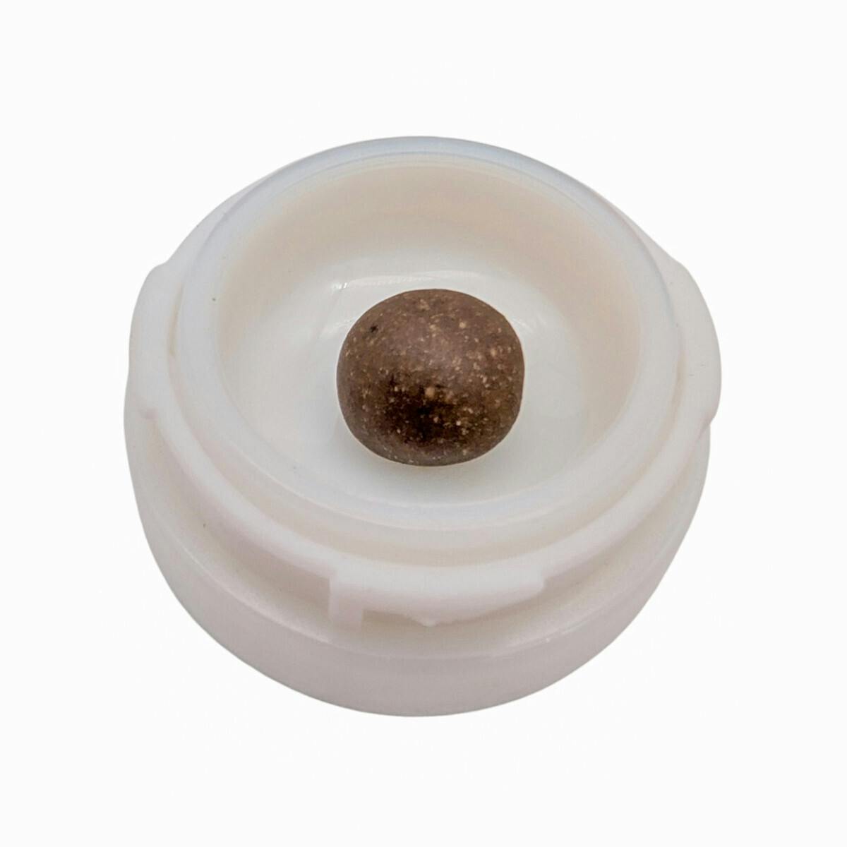 1g Temple Ball | Coastal Remedies