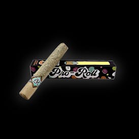 White Runtz | Hash Rosin Pro-Roll 2.5g