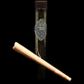 Alley Cat | Pre-Roll (King)