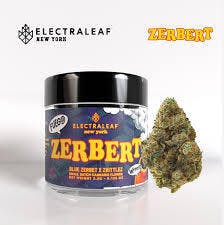 Zerbert Big Buds