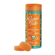 Good Tide Mango Gummies - 100mg