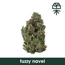 Grassroots Fuzzy Navel 7g