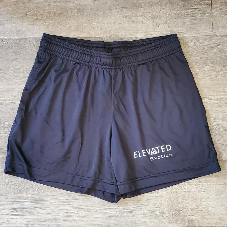 Ladies Performance Shorts - Black - Large