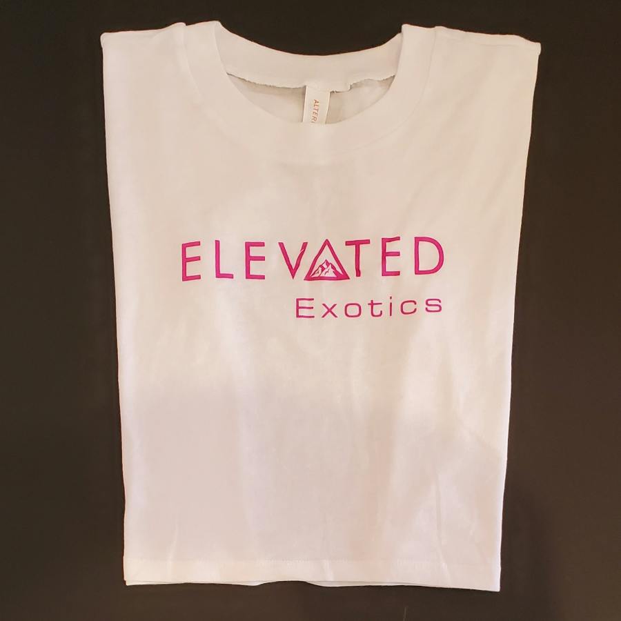 White Vintage Cropped T-Shirt -Medium