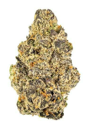 DRJC Runtz | Dr. JC's Exotics