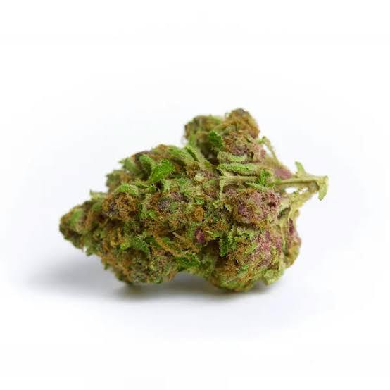 Animal Tree | Organic Flower | Ripe Herb cannabis product