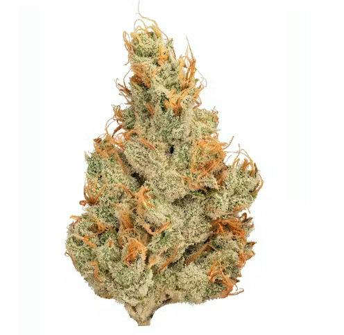 Grapefruit Haze