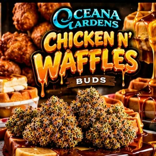 Oceana Gardens - Chicken N' Waffles - Buds at Dispo x Fire Creek Dispensary Battle Creek