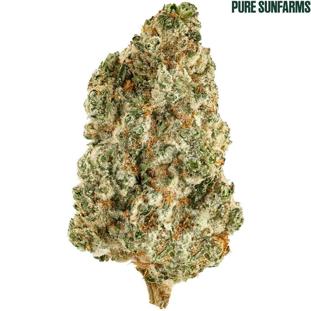 Pure Sunfarms | Kush God Flower | 28g
