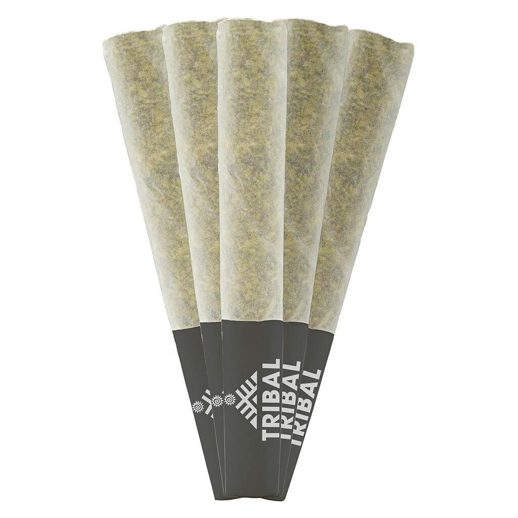 Tribal | Bubble Up Pre-rolls | 5x0.5g