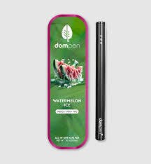 Dompen AIO Disposable Watermelon Ice 1g