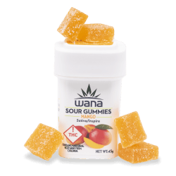 Mango - Sativa