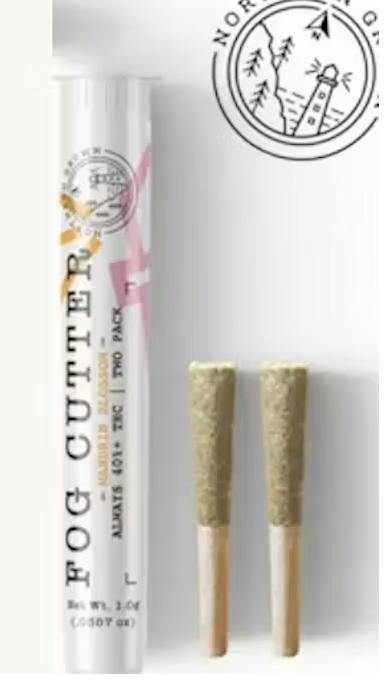 Kosher Tangie | Infused Pre-roll | .5g 2pk (IH) cannabis product