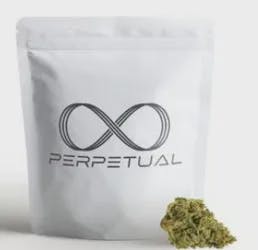 Perpetual | Pineapple Beignet | Flower | 3.5g (IH) cannabis product