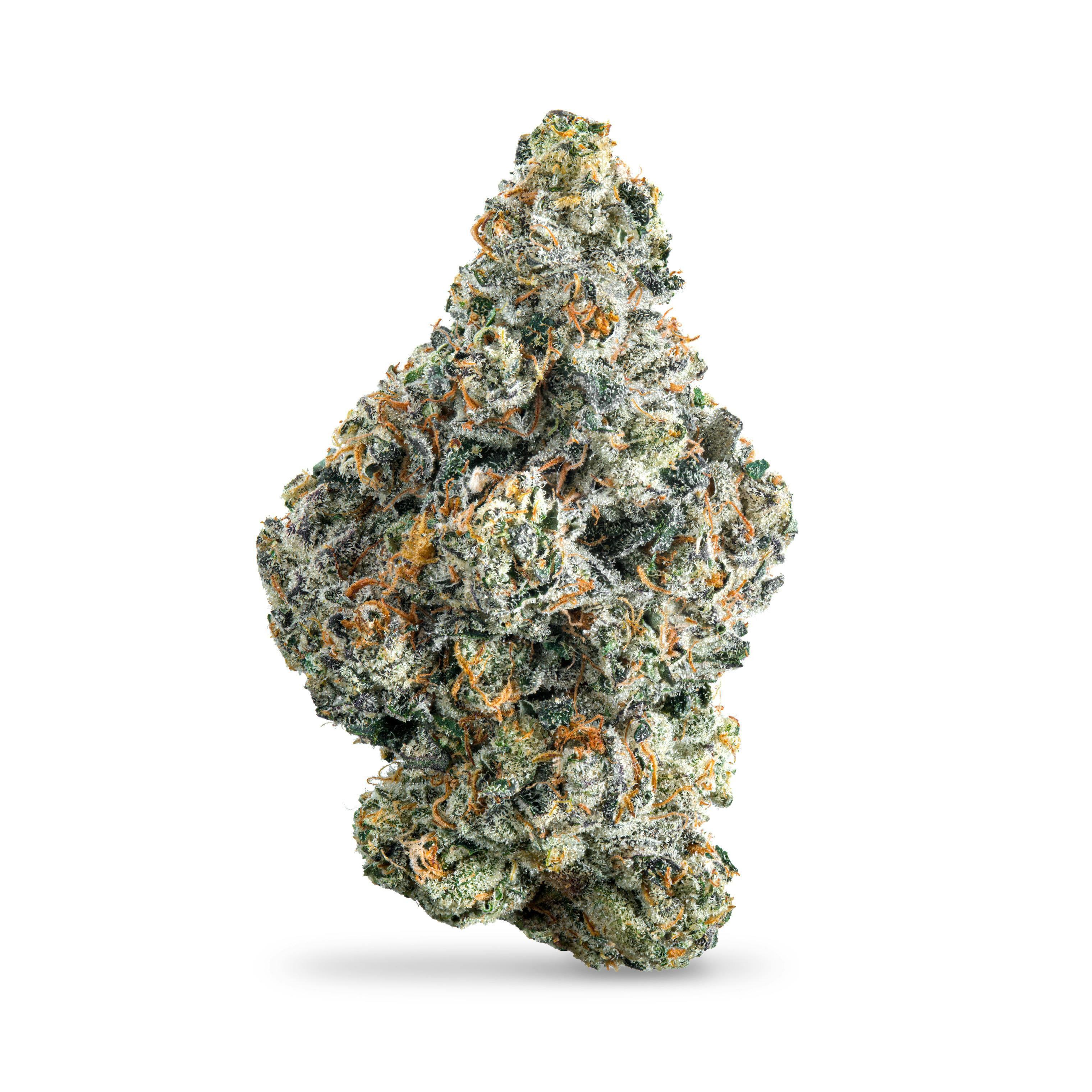 Gas Face #4 B Buds