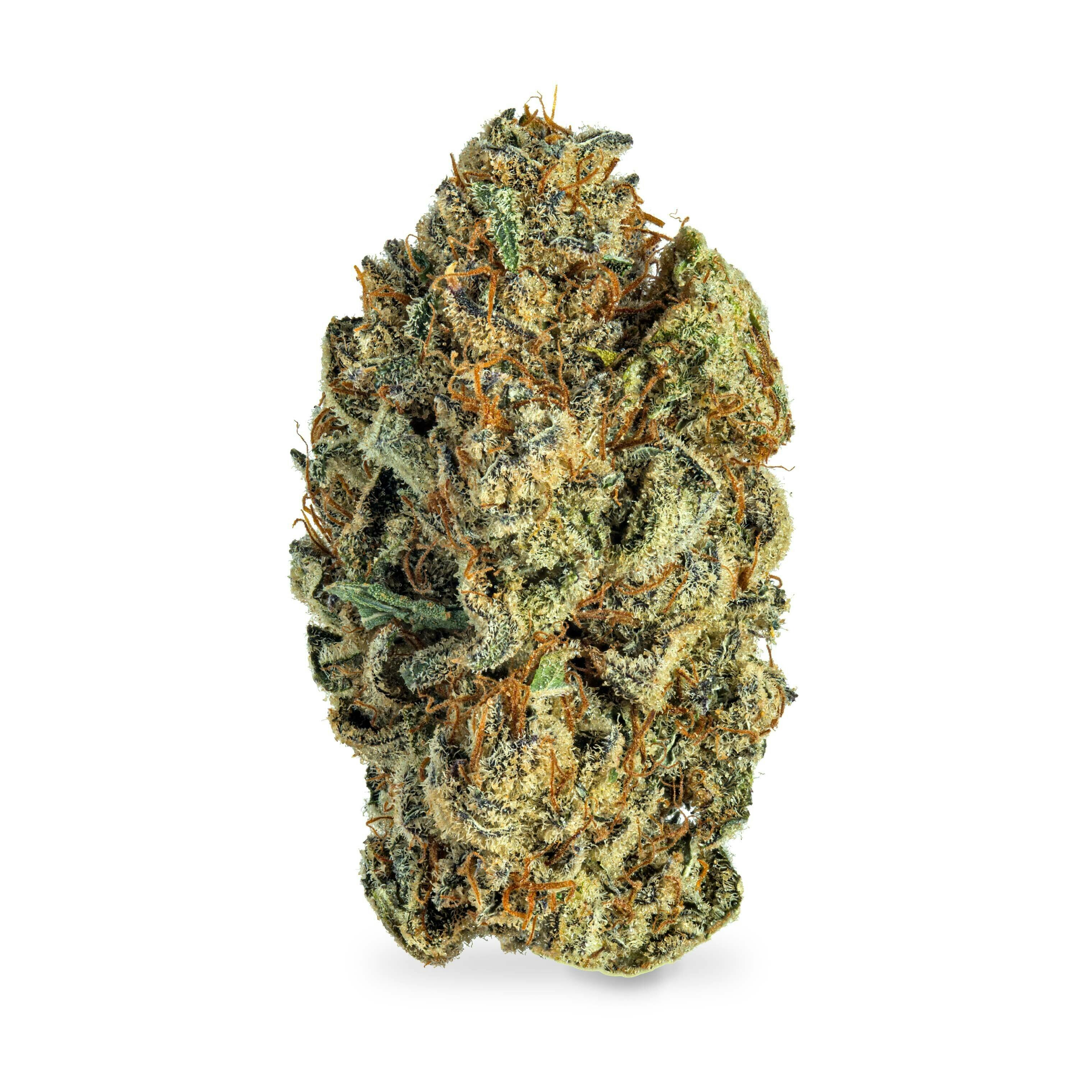 Grimm Glue