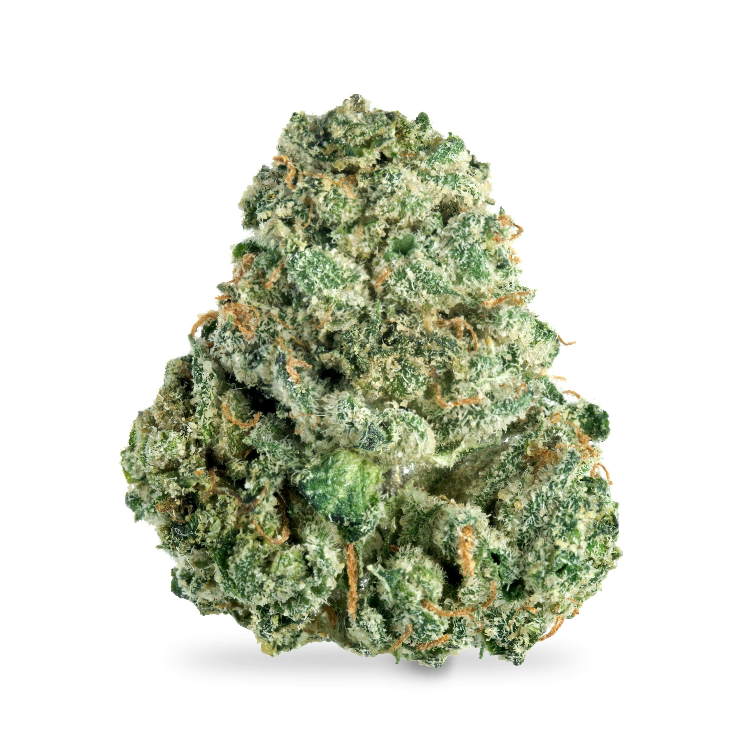 Pink Gasolina B Buds