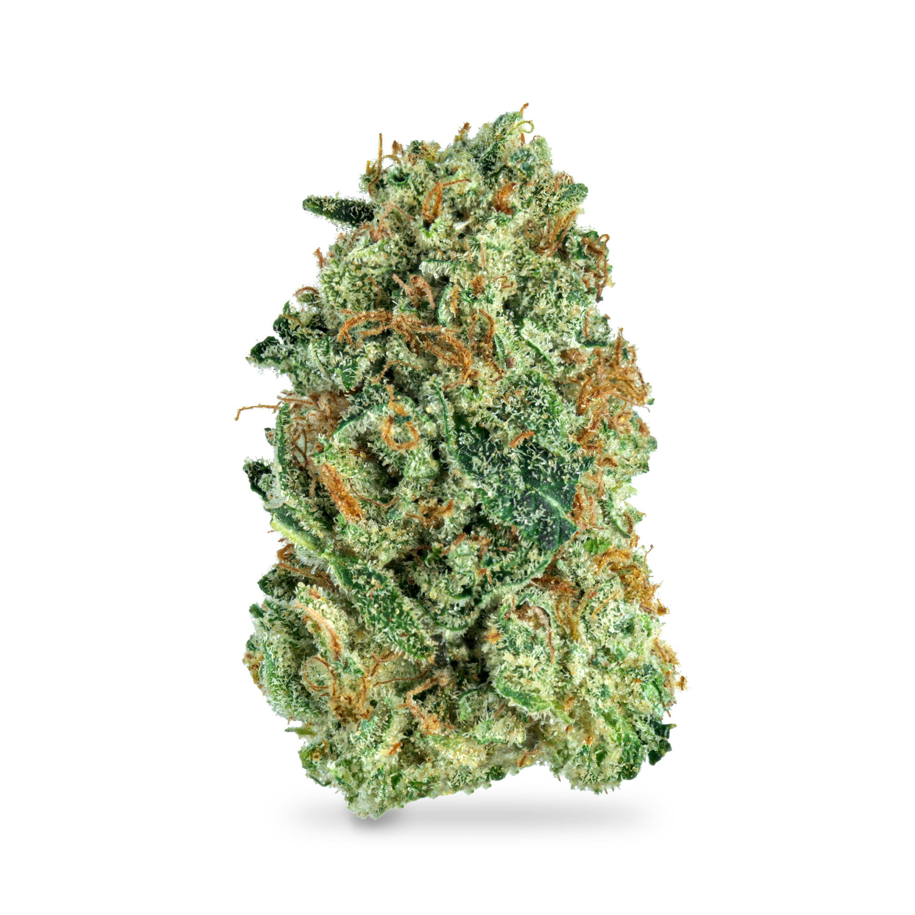 Rainbow Guava