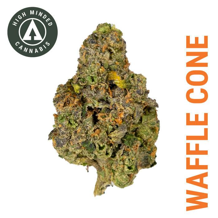 Waffle Cone
