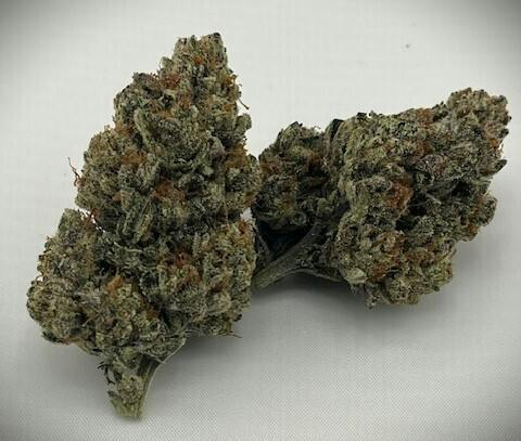 PINYATTI - 14 g