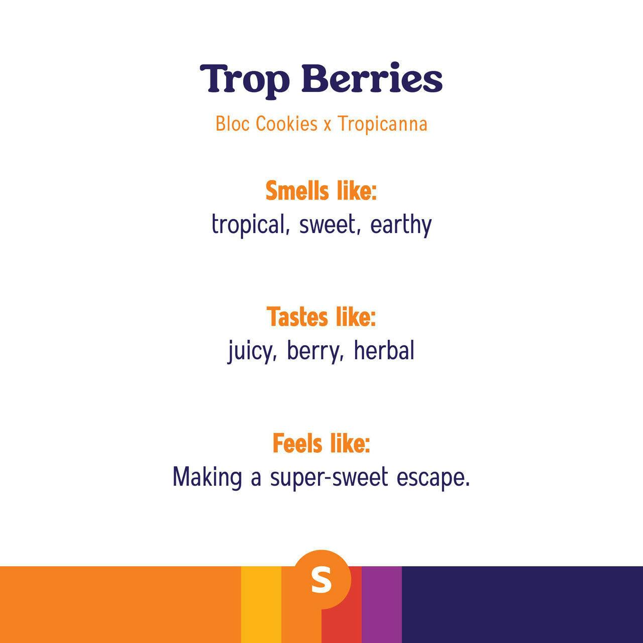 Trop Berries Budder