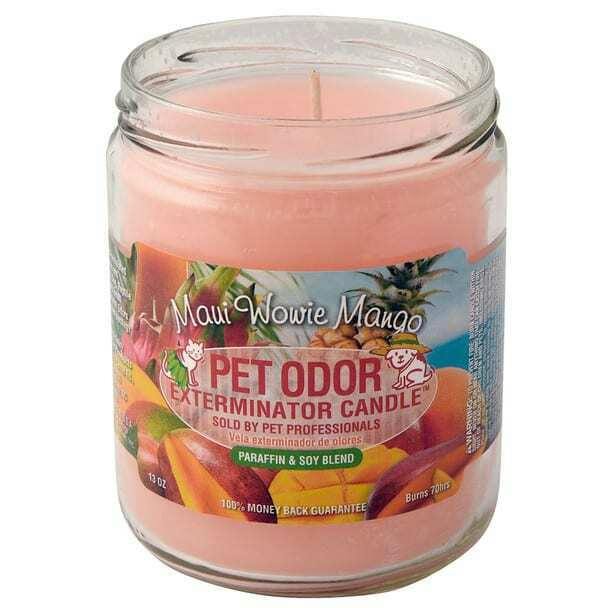Smoke Odor Exterminator Candle (Maui Wowie Mango)
