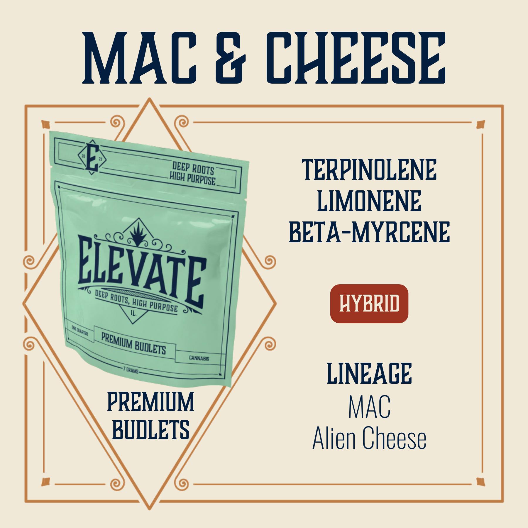 MAC & Cheese | Pre-Pack Budlets